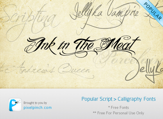 10 Most Popular Script & Calligraphy Fonts